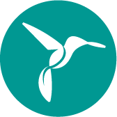 Logo Hummingbirds